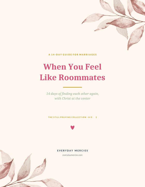 Cover of When You Feel Like Roommates, a 14-day devotional guide